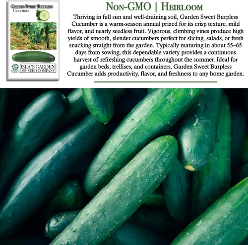 Vista 3 de Garden Sweet - Semillas de pepino sin eructos para plantar (Cucumis sativus) – Más de 50 semillas sin OMG y reliquias de Isla's Garden Seeds