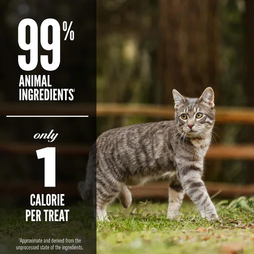 Vista 4 de ORIJEN Golosinas para gatos liofilizadas sin granos con alto contenido de proteínas, ingredientes animales crudos Seis pescados 1.25oz Bolsa