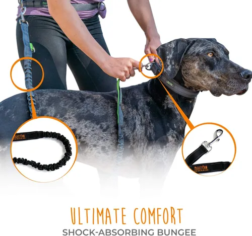 Vista 4 de Mighty Paw Correa de Perro Sin Manos Correa de Cintura Elástica para Pasear Perros. Correa Sin Manos para Correr con Mascotas para Razas Grandes