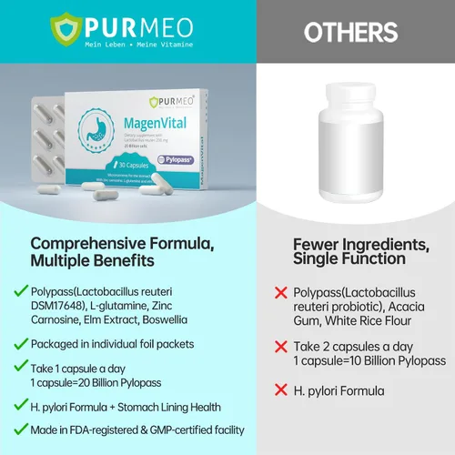Vista 7 de purmeo Probióticos 5 en 1 de alta potencia H. Pylori, 1 por día, soporte gástrico, comodidad digestiva y protección del revestimiento estomacal