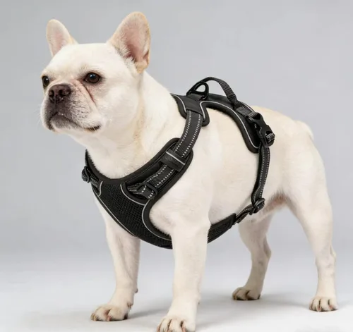 Vista 19 de Arnés negro reflectante sin tirones para perro con 2 clips para correa, chaleco acolchado suave para perros pequeños, fácil de poner y quitar
