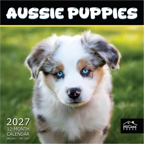Vista 40 de MICASA PRESS Calendario de pared de Australian Shepherds Aussies 2027 02 - Pastores australianos