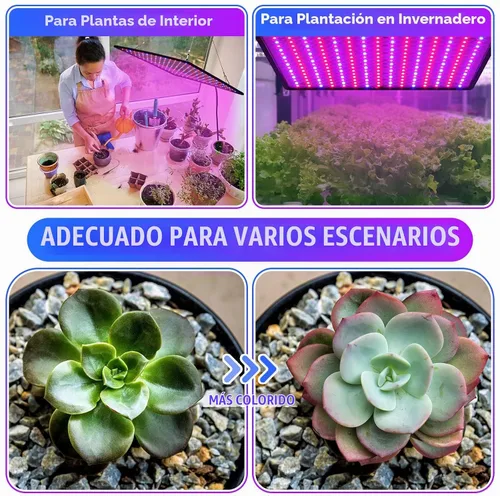 Vista 5 de Liliful 4 paneles de luces de cultivo artificiales de espectro completo de 200 W con 225 LED para interior y exterior para tienda de campaña de Azul