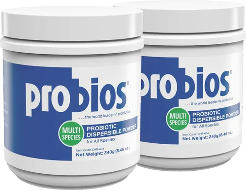 Vista 11 de Probios Apoyo Digestivo Probiótico para Todas las Especies, Probióticos para la Salud Intestinal, Polvo Dispersable, 240 g