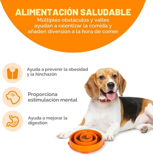 Vista 2 de Outward Hound Cuenco mediano de alimentación lenta, laberinto de rompecabezas para comedores rápidos, perros pequeños a medianos, ayuda a prevenir