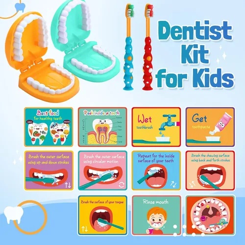 Vista 6 de Skylety Juego de 2 dientes modelo de dentista con cepillo de dientes