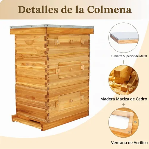 Vista 2 de BeeCastle Colmena Langstroth de 10 marcos con ventanas, colmena de abejas recubierta con cera de abejas para principiantes con marcos de colmena