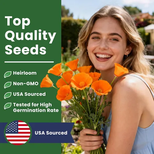 Vista 4 de Semillas de amapola naranja de California para plantar, paquete a granel de 0.35 onzas, más de 10,000 semillas nativas, flor del estado de California