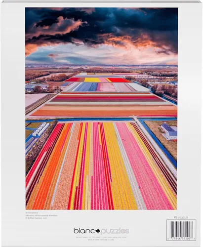 Vista 6 de Buffalo Games - Infinity Fields - Rompecabezas de 1000 piezas para adultos