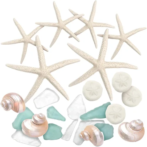 Vista 7 de Conchas de mar – Conchas de playa mezcladas reales con estrellas de mar y cristal de mar (paquete de 5) – Conchas para manualidades – Decoración