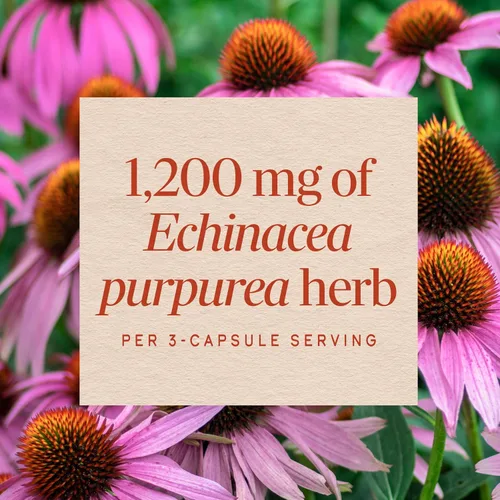 Vista 4 de Nature's Way Echinacea Purpurea Hierba, suplemento herbario tradicional para apoyo a la salud inmunológica*, cápsulas de equinácea con 1200 mg por