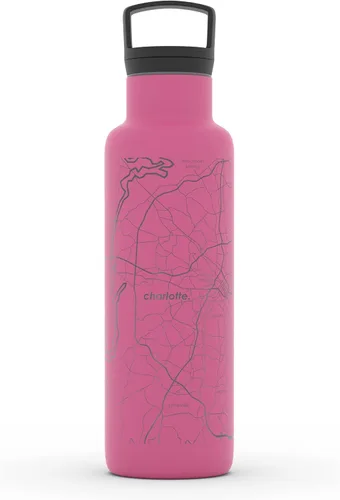 Vista 136 de Well Told Botella de agua aislada con mapa de Washington DC grabado, botella de acero inoxidable grabada (21 onzas, blanco) botella aislada de mapa