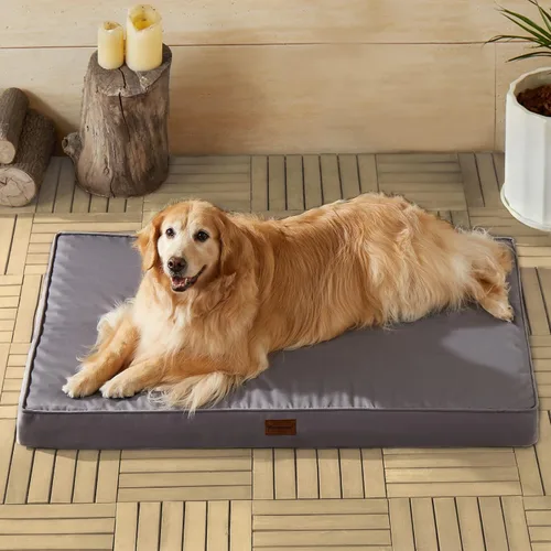 Vista 12 de BFPETHOME Cama para Perros de Exterior para Perros Grandes, Impermeable, Ortopédica con Funda Extraíble Lavable, Colchoneta de Espuma Tipo Caja