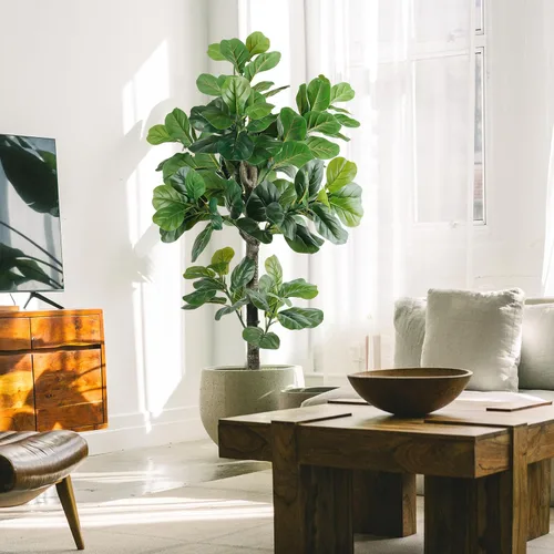 Vista 3 de Árbol de higuera artificial de hoja de violín de 5 pies de alto, planta de higuera falsa para interiores, planta de ficus iyrata falsa que incluye