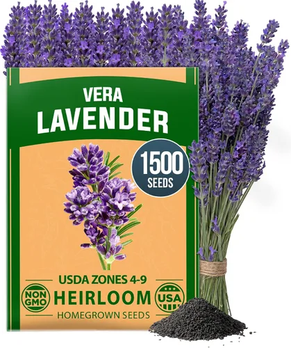 Vista 95 de HOME GROWN Semillas de zinnia rosa – 300 zinnias Luminosa 0.5g, semillas anuales de flores fáciles de cultivar para plantar al aire libre para 2026
