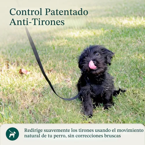 Vista 6 de Sporn Arnés para perro extra pequeño sin tirones, fácil y ajustable para cachorros en crecimiento, ligero, transpirable, nailon duradero, cuerpo