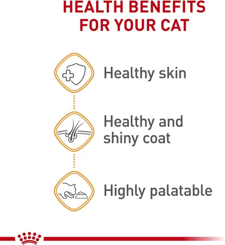 Vista 3 de Royal Canin Feline Care Nutrition Cuidado del cabello y la piel en rodajas finas en salsa para gatos, 3 onzas (paquete de 24)