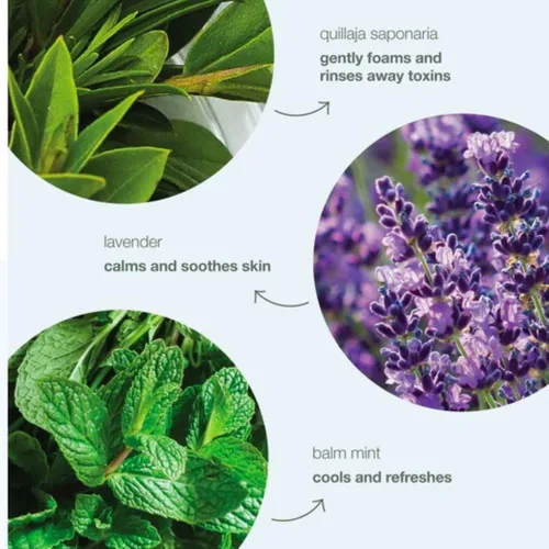 Vista 3 de AquaBio Crema Facial Lifting con Péptidos Potentes y Colágeno Vegano para Reafirmar y Resplandor Natural - Respetuoso con el medio ambiente, cuidado