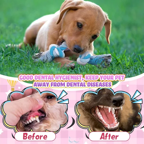 Vista 5 de Paterr 12 piezas de cuerda de algodón juguetes para perros pequeños cachorros dentición