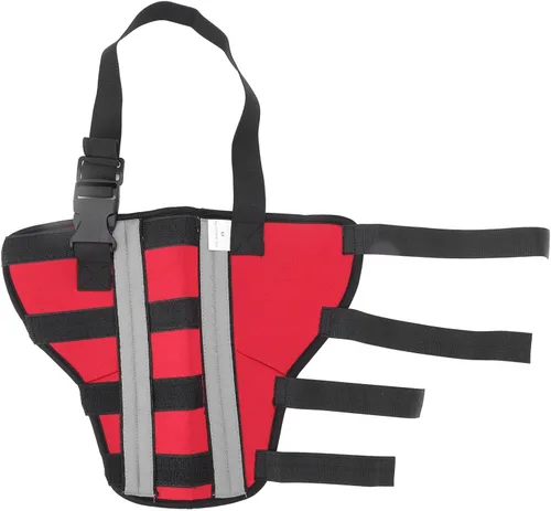 Vista 6 de FILFEEL Comfortable Dog Hind Leg Brace with Reflective Strip for Joint Support and Healing PostSurgery Recovery (M)