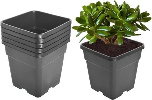 Vista 14 de Macetas cuadradas para vivero, macetas de cultivo para plantas de suelo, 0.63 galones, 10