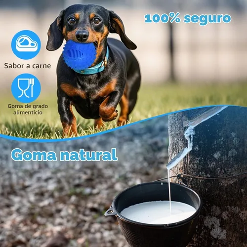 Vista 3 de petizer Bolas para Perros con Pispito de 3" para Masticadores Agresivos, Bola Estimula Mordida Duradera e Interactiva con Picos, Juguete para Azul
