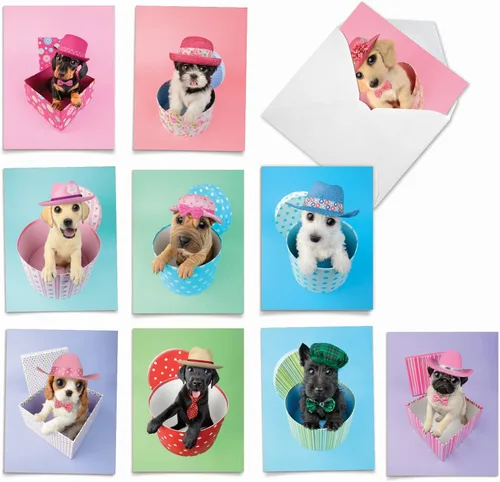 Vista 12 de The Best Card Company - 10 tarjetas de felicitación para perros en blanco para todas las ocasiones (4 x 5.12 pulgadas) - Boo El perro más lindo