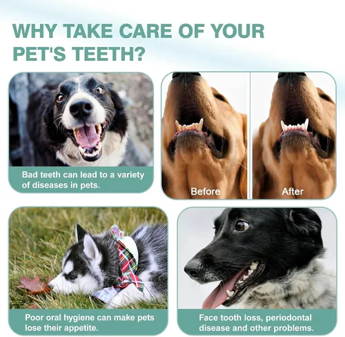 Vista 7 de 4 cepillos de dientes profesionales para mascotas, cerdas suaves para perros y gatos, juego de cabezales de cepillo de doble cara, dientes