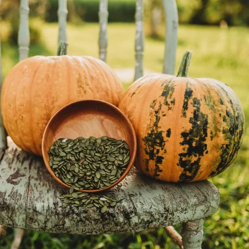 Vista 2 de Kakai - Calabaza de semillas oleaginosas sin cáscara, 25 semillas, variedad de calabaza austriaca, calabaza de estirio, cultiva tus propias semillas