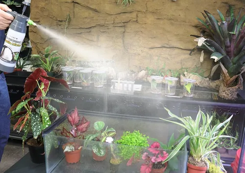 Vista 6 de ExtremeMIST Mister de reptiles de alto rendimiento – Pulverizador de reptiles ultrafino y nebulizador de humedad de terrario para geckos
