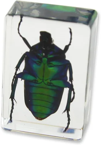 Vista 3 de Pisapapeles verde Chafer Beetle (1 1/8 x 1 3/4 x 3/4)