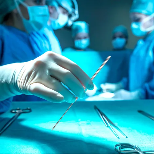 Vista 4 de iplusmile Aguja de disección micro recta de acero inoxidable, 14 piezas, herramienta de aguja de disección de precisión de laboratorio para equipos