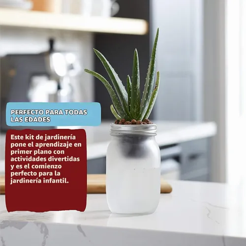 Vista 2 de Back to The Roots Kit de cultivo de riego automático: macetas hidropónicas de vidrio para suculentas y sistema de riego automático de cactus