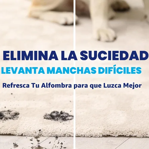 Vista 5 de OxiClean Solución líquida limpiador de alfombras grande, 64 fl oz