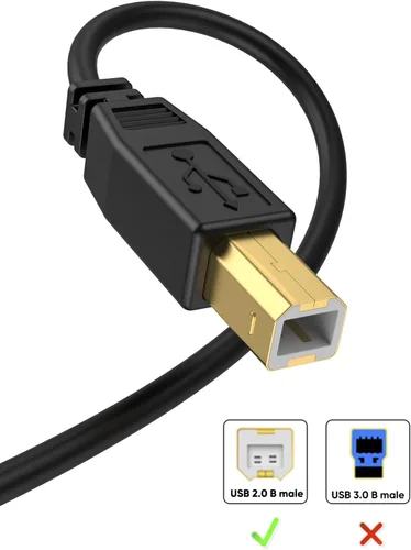 Vista 5 de CableCreation Cable de impresora USB 2.0 A a B de 10 pies - Alta velocidad para HP, Brother, Epson, Canon, más - 3M
