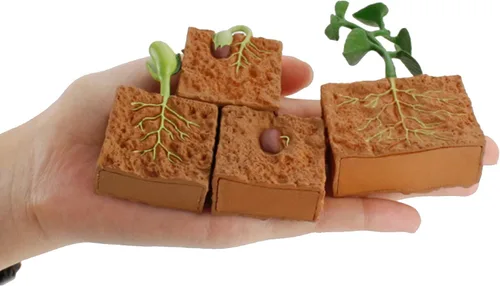 Vista 2 de 4 unids ciclo de vida plantas verdes juguete educativo PVC ciclo de crecimiento planta falsa juguete para niños herramienta de enseñanza