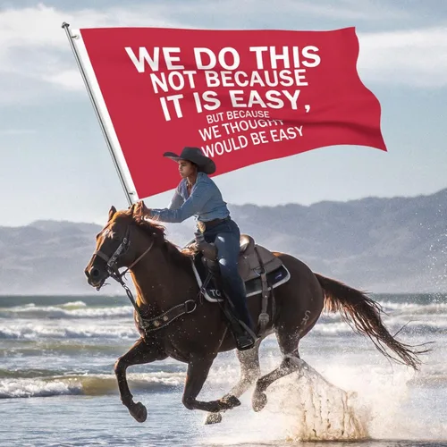 Vista 53 de NO LO HACEMOS PORQUE SEA FÁCIL Bandera al Aire Libre Motivacional Inspiradora Bandera de Banderolas de Un Solo Lado Negra 2x3 pies