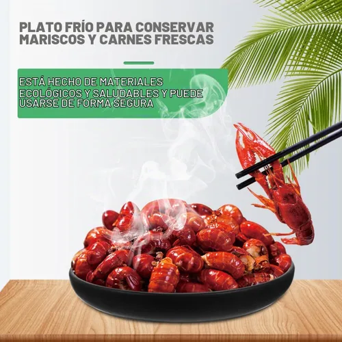 Vista 5 de Cabilock Dry Ice - Plato de sushi de 10 pulgadas redondo japonés para servir sashimi Geta, bandeja de plástico para servir alimentos secos para uso