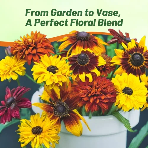 Vista 5 de Outsidepride All Sorts Mix Rudbeckia Seeds - 100 unidades. Semillas de flores anuales, fáciles de cultivar y auto-siembradas para plantar flores