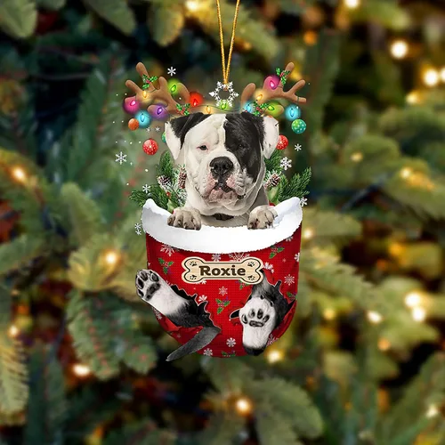 Vista 32 de LOVELYPOD Adorno Personalizado de Perro Affenpinscher, Adornos de Navidad Affenpinscher Regalo para Amante de Perros, Adorno de Navidad Colgante