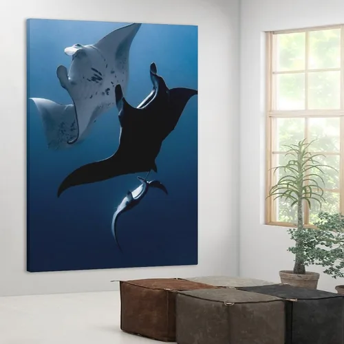 Vista 4 de Póster de lienzo con diseño de peces de animales de manta Rays, decoración de dormitorio, paisaje deportivo, oficina, habitación, regalo, póster