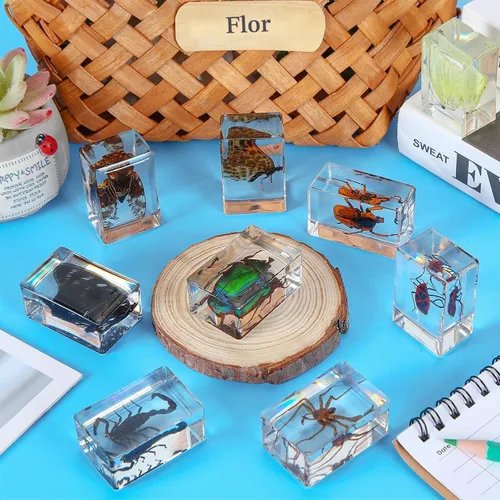 Vista 4 de Beeveer 9 piezas de insectos en resina, especímenes de insectos, colección de arañas, mariposas, juguetes de insectos, especímenes educativos