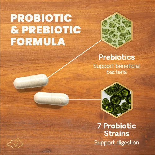 Vista 3 de VetriScience Laboratories - Mega Probiotic para perros y gatos, 120 cápsulas.