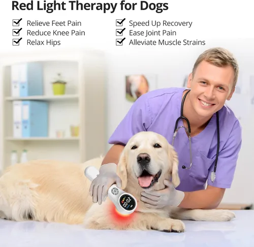 Vista 5 de Dispositivo de terapia de luz roja, 4x980nm+4x810nm+16x660nm, terapia de luz infrarroja cercana para humanos, cuerpo, mascotas, perros, caballos