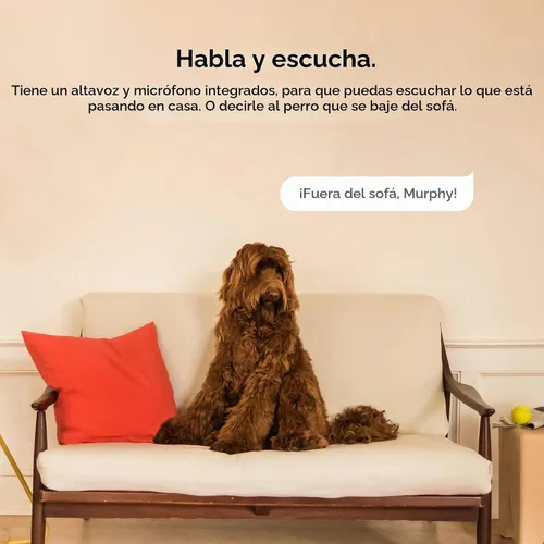 Vista 12 de Cámara de seguridad diseño nido