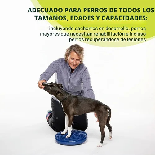 Vista 4 de FitPAWS® Disco de equilibrio para perros Equipo de ejercicio para perros Herramienta de entrenamiento para fuerza, núcleo, estabilidad y Azul