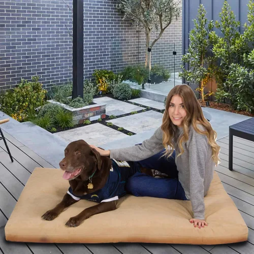 Vista 8 de Sistema para soporte de mascotas: cama ortopédica tamaño XL de espuma viscoelástica para mascotas, color caqui/beige