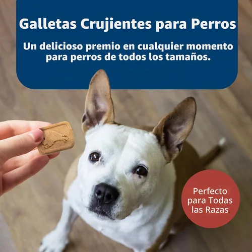 Vista 4 de Blue Buffalo Health Bars - Mini galletas para perros con huevo y queso