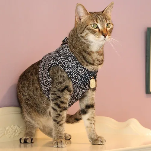 Vista 8 de Ninja Cat (verde, arnés)
