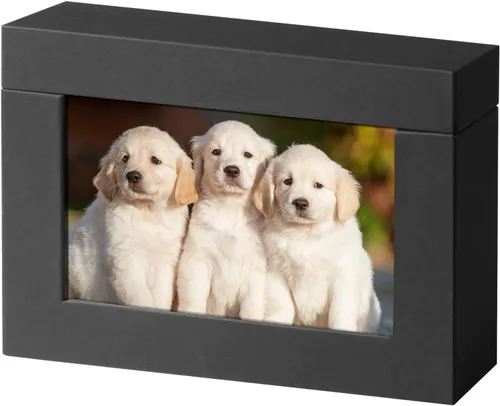Vista 8 de Caja de almacenamiento de 5 x 7, cajas de cartón para fotos de familias pequeñas y parejas, cajas de regalo, color blanco plateado